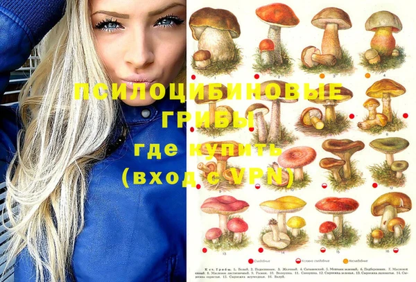 бошки Верхнеуральск